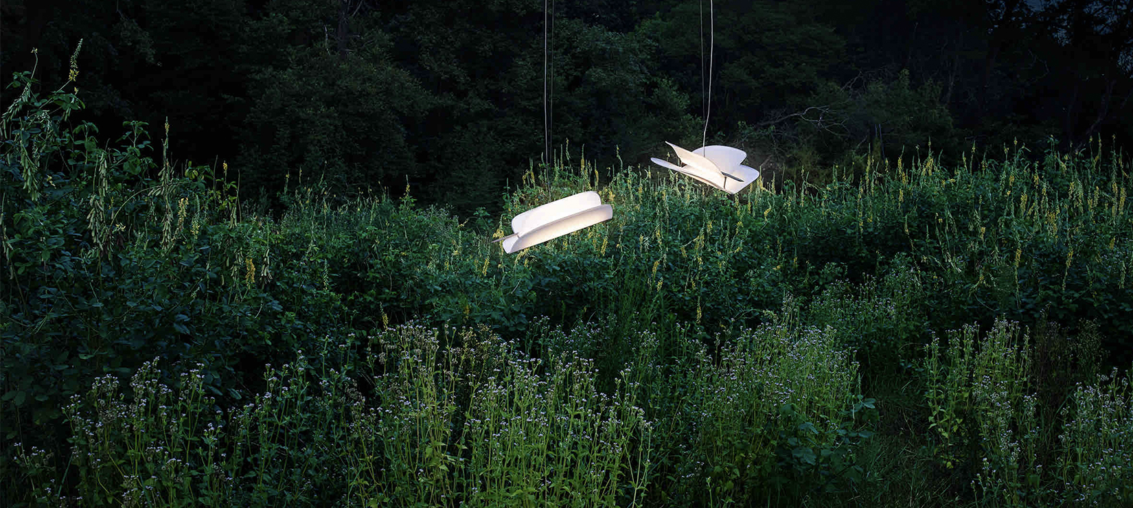 永利yl23411一燈一世界